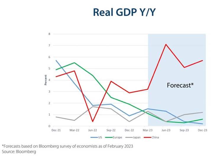 Real GDP Y/Y