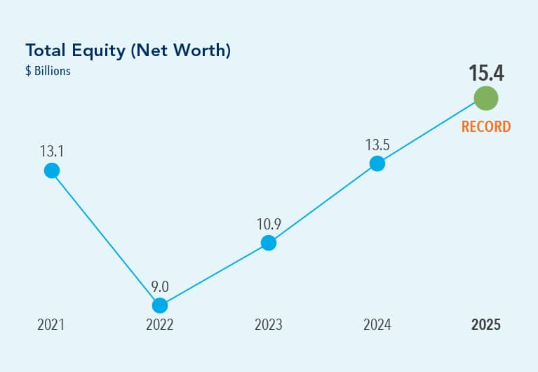 In 2025 total equity reached a record $15.4 billion