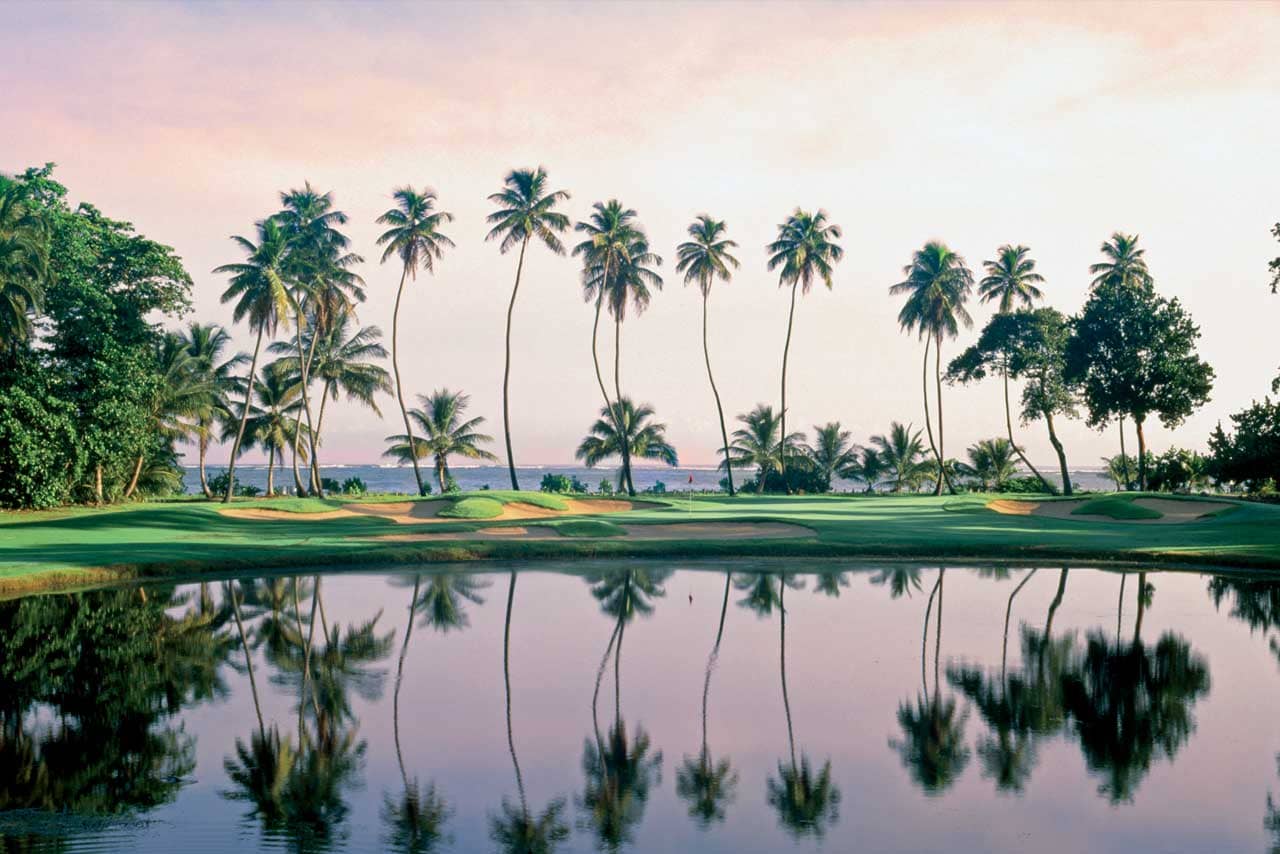 Trees reflecting in water