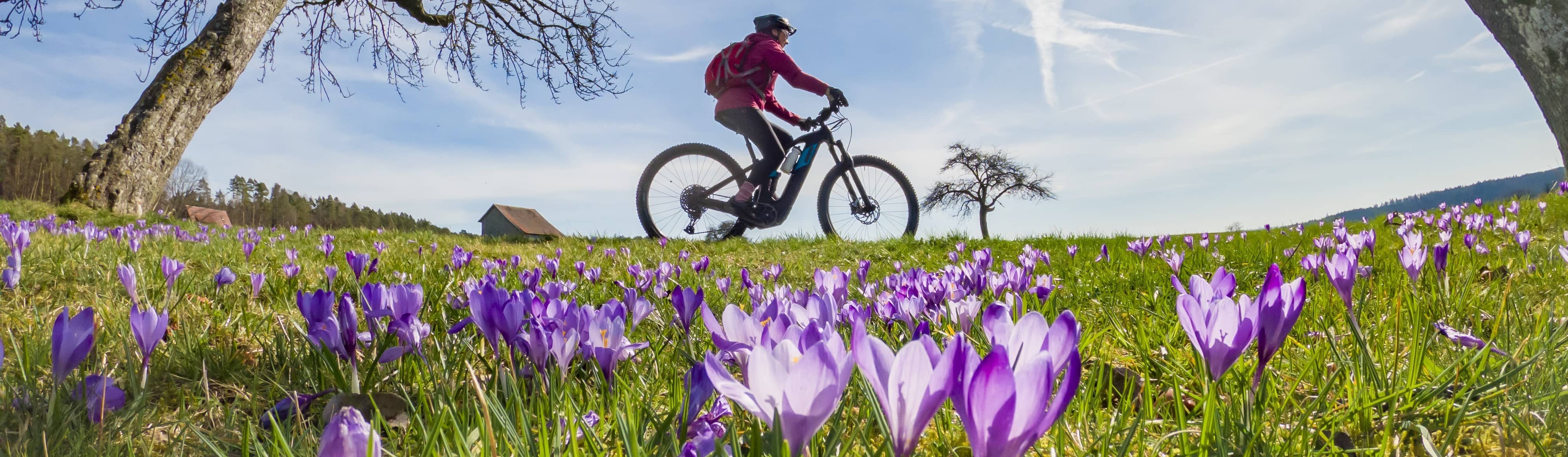 biking spring flowers