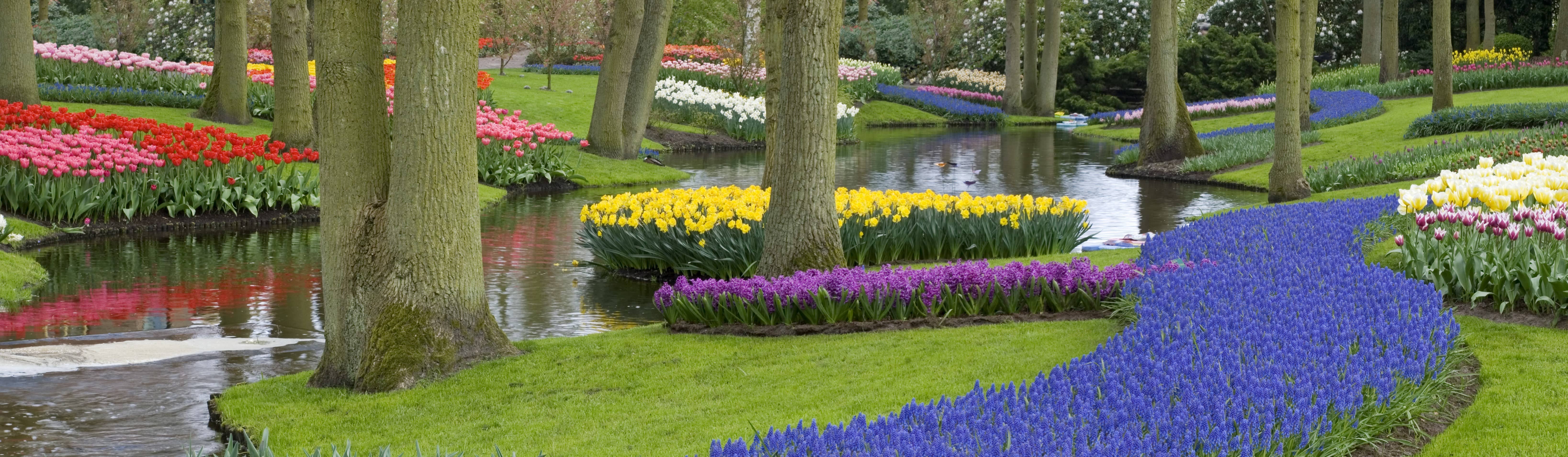 flowers trees stream