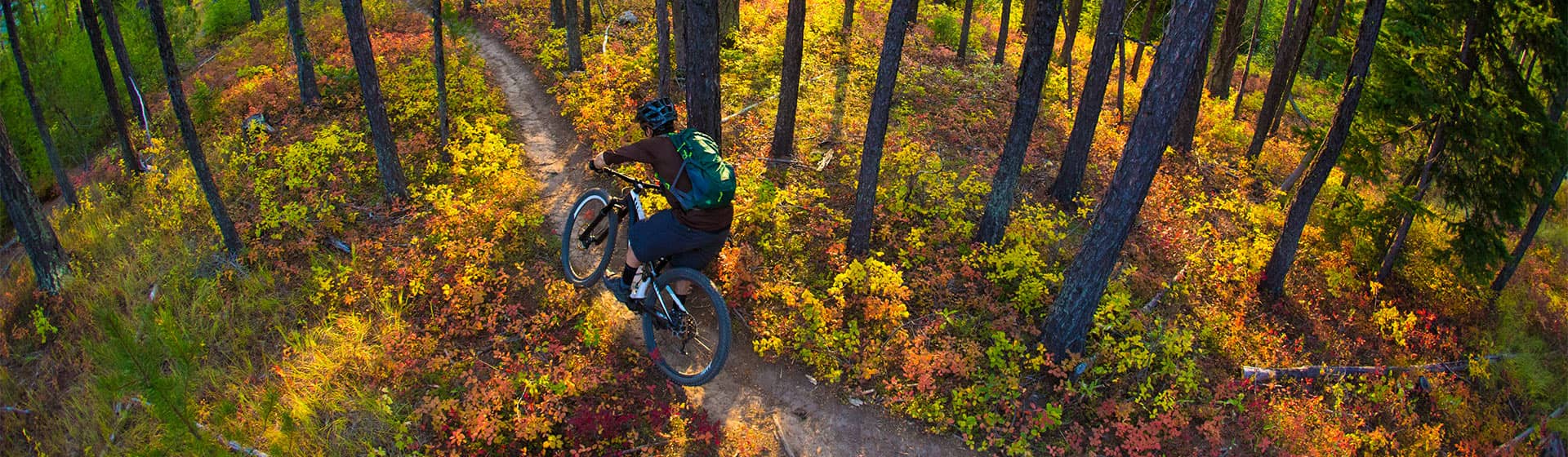mountain biker in the woods