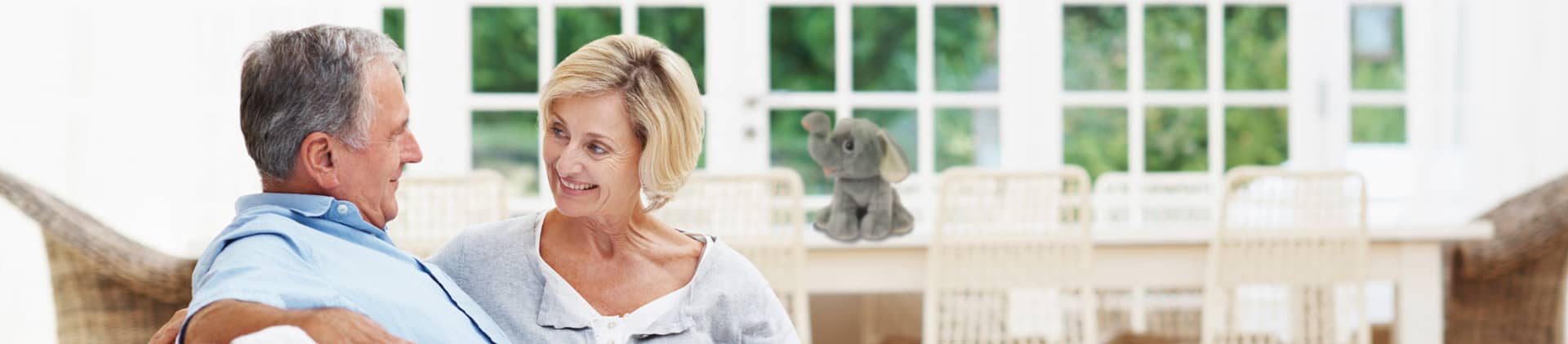 Financial Plan B: Elephant in the Room