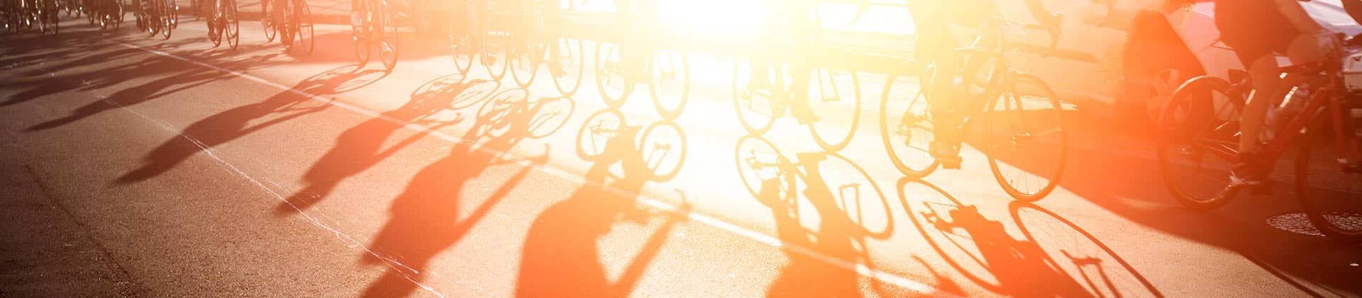 Bikes and shadows