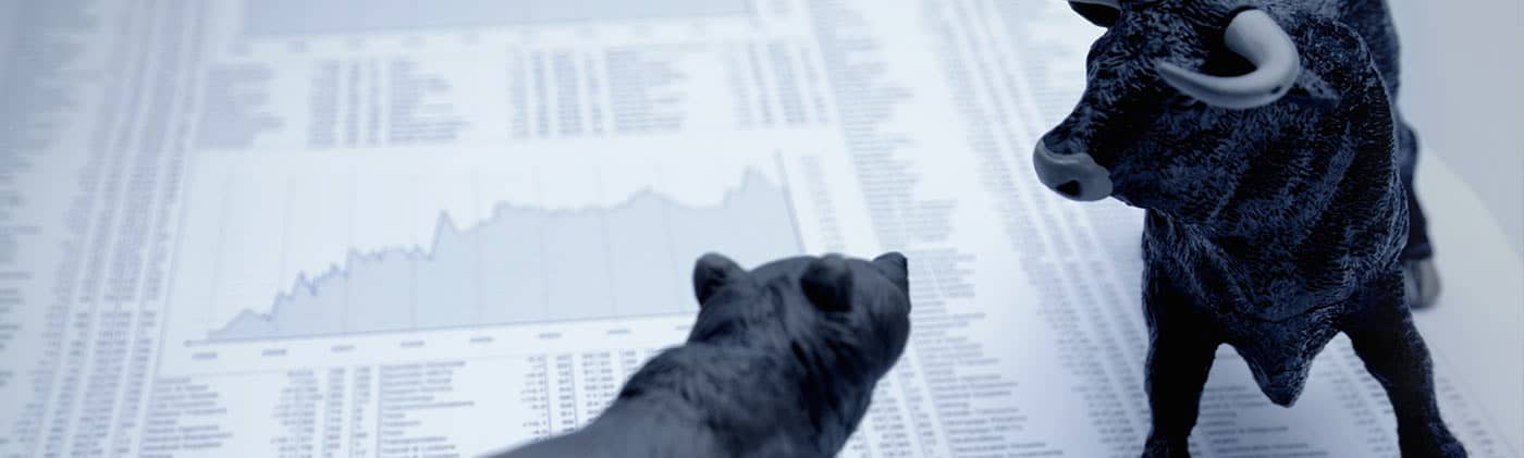 bear and bull market