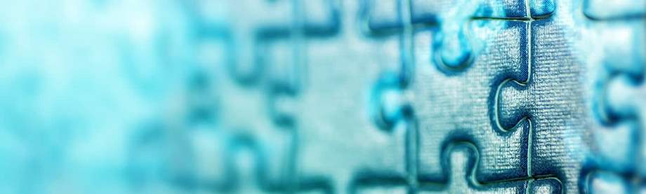 Complete puzzle - the enigma of the tame wage increases