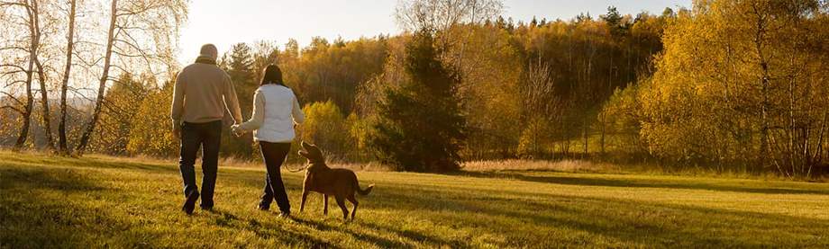 A couple walks with their dog at sunset discussing whether to save for retirement or pay off debt. 