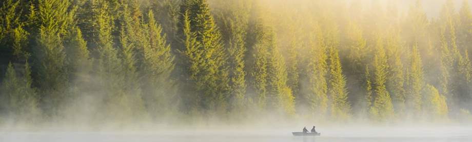 fishing boat with fog in the distance