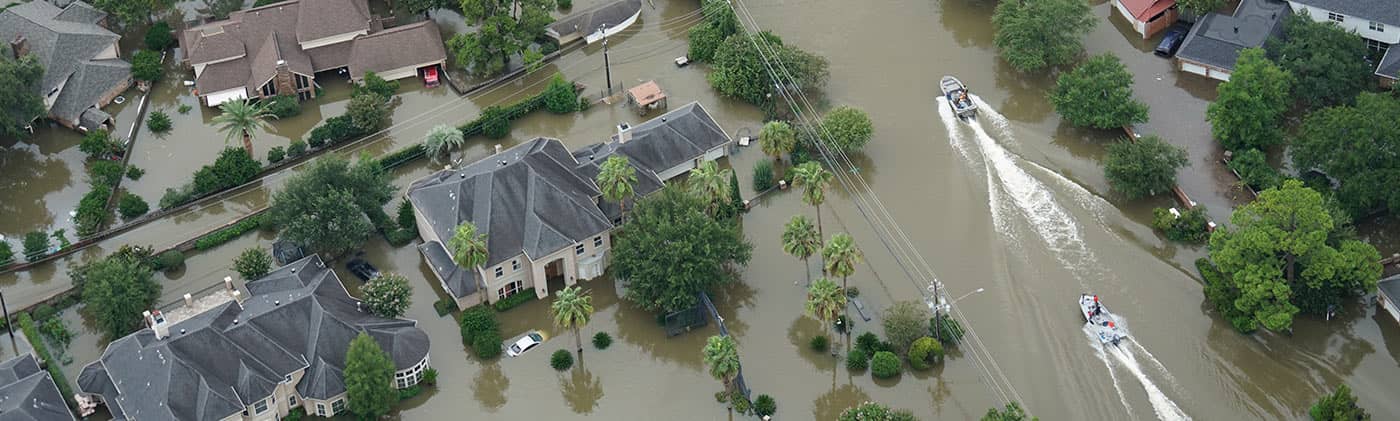 Impact of Harvey and Irma