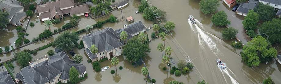 Impact of Harvey and Irma