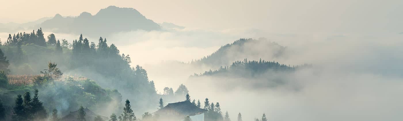 What&#39;s down on inflation