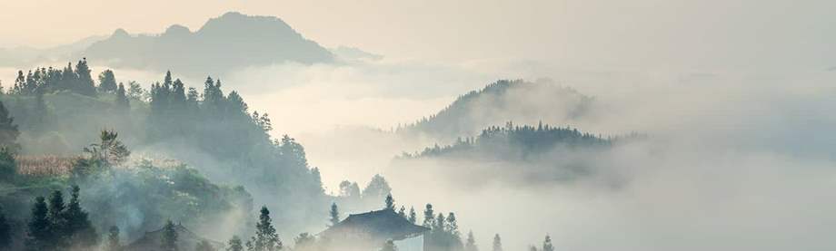 What's down on inflation