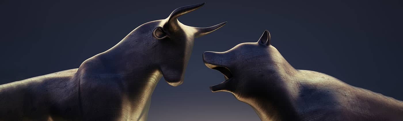 bull versus bear