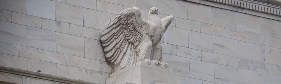 Fed eagle