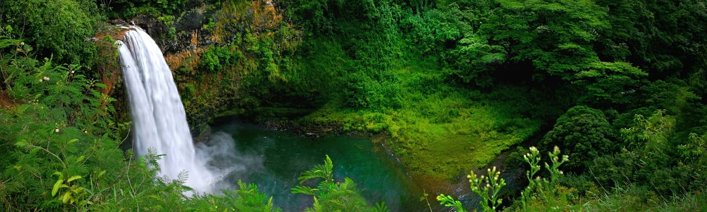 waterfall in lush forest