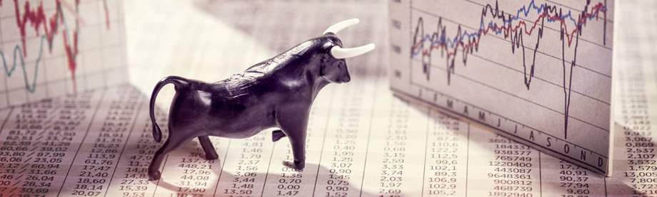 history of bull market image