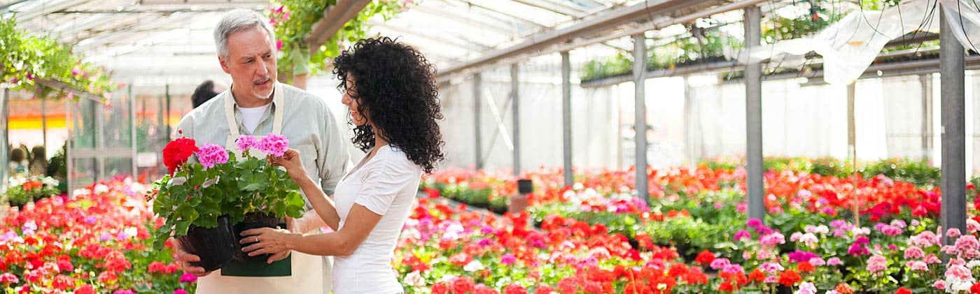 Mature man working in a flower nursery: encore career