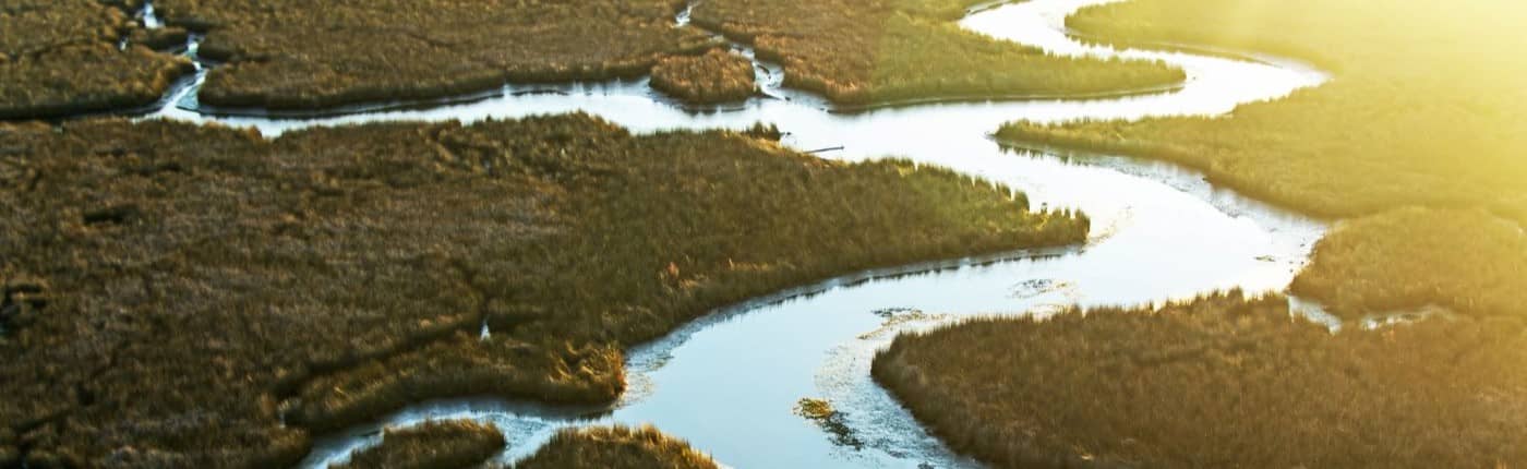 Aerial view of river delta.