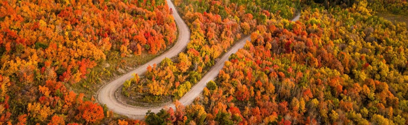Small valley in autumn with a background of a mountain.