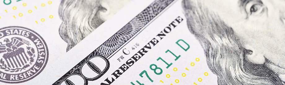 micro shot of american currency