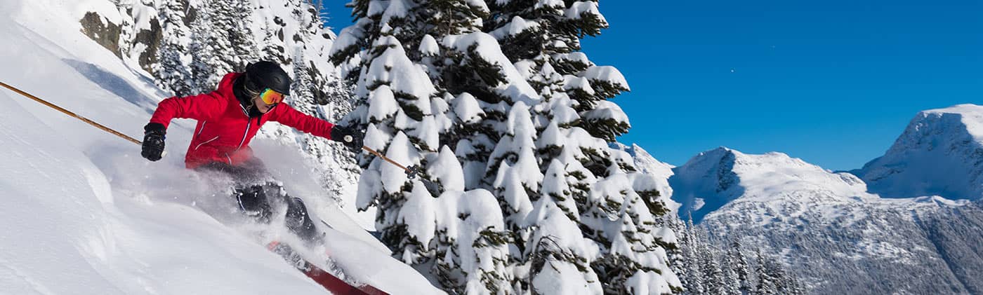 Skiing - Adapting to a high volatility world