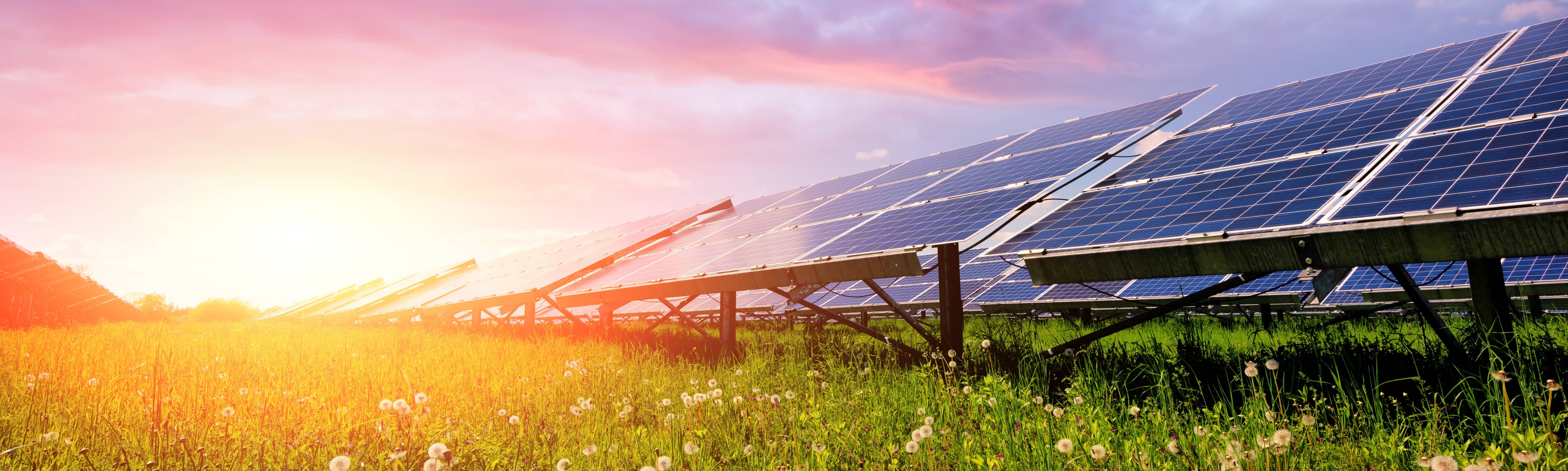 solar panels with sun in backgroun and grass in foreground