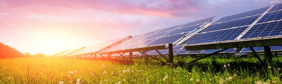 solar panels with sun in backgroun and grass in foreground