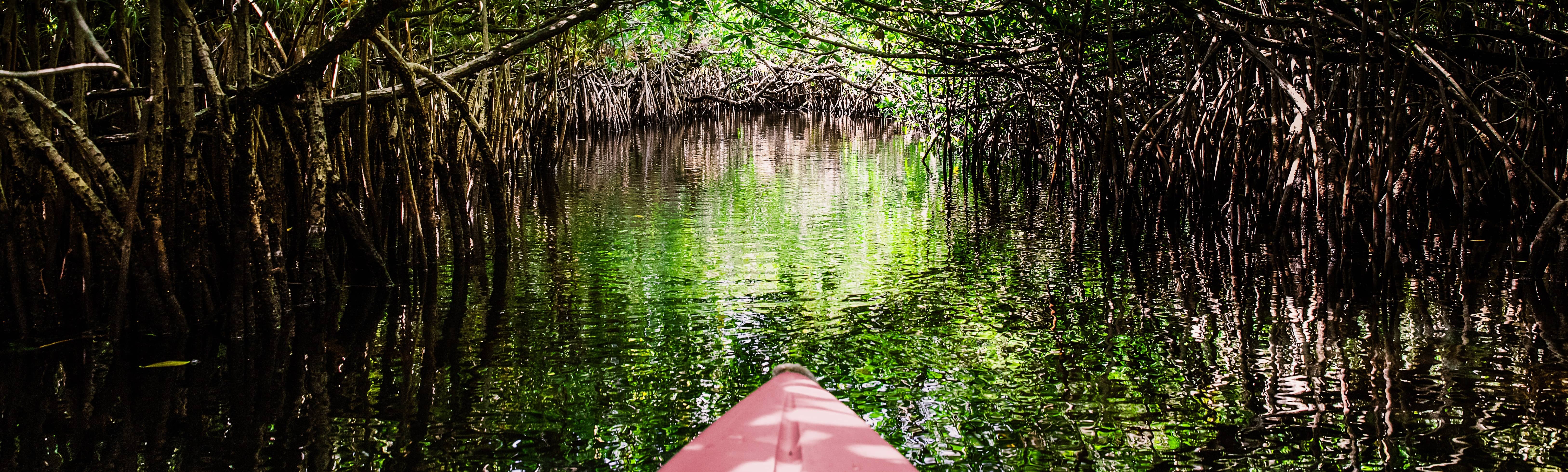 boat in the everglades