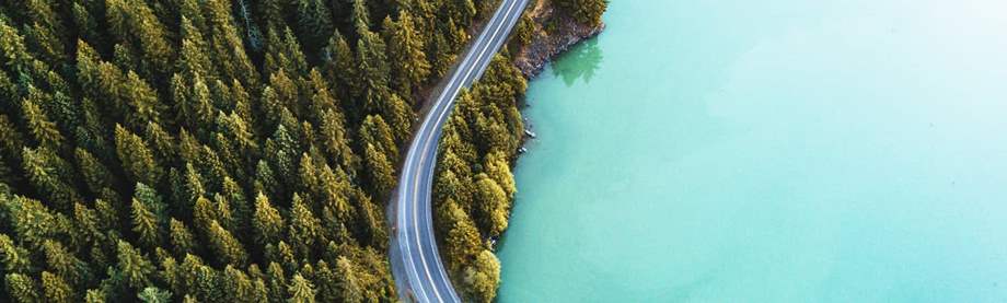 road through the forest