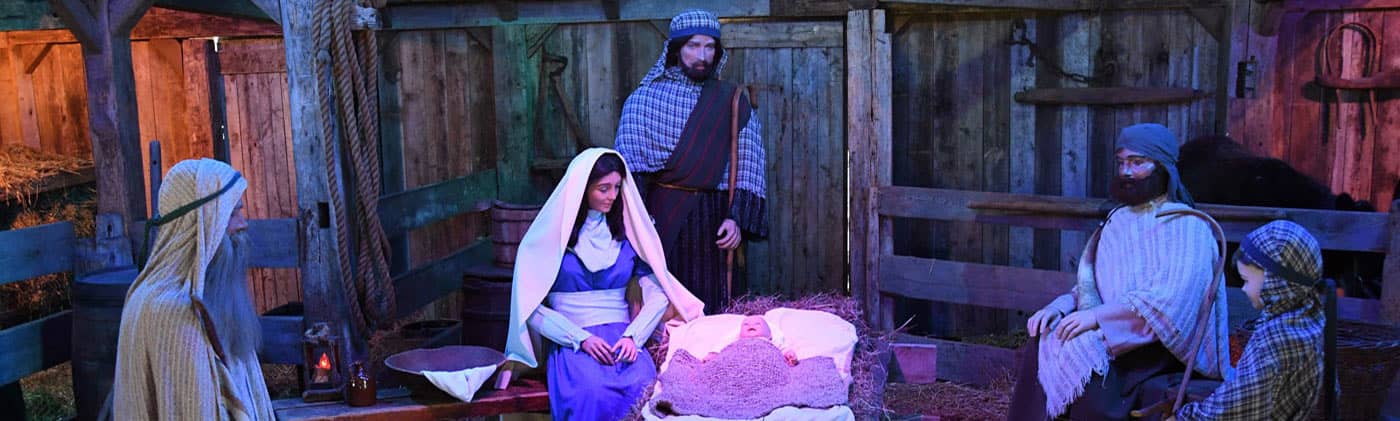 2017 Crib of the Nativity