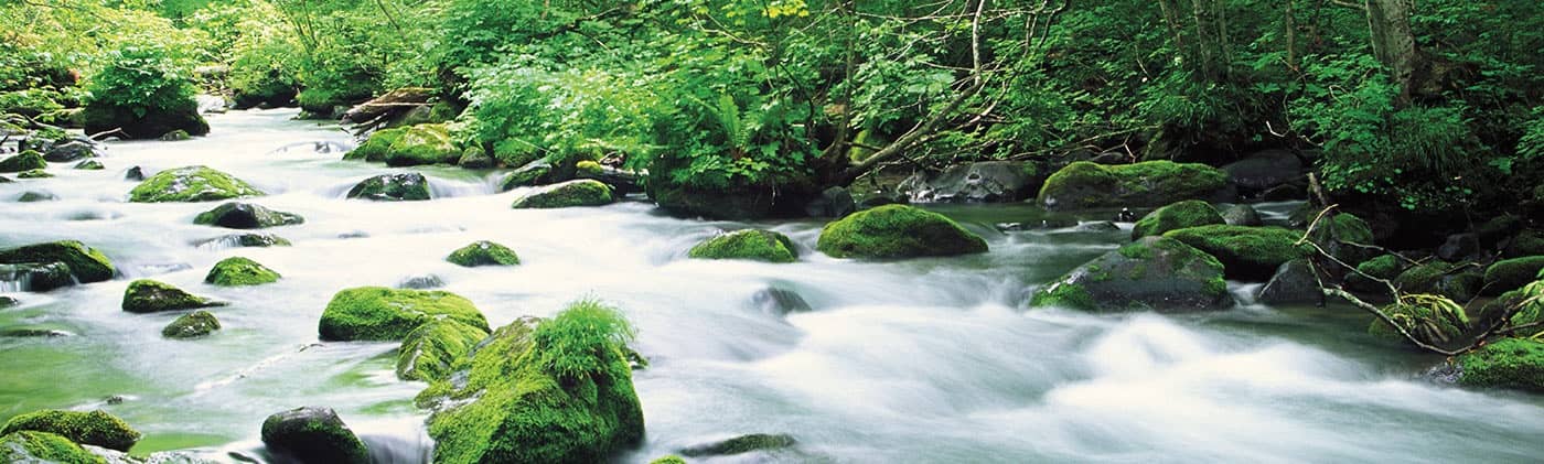 Income Source Select river rocks and trees