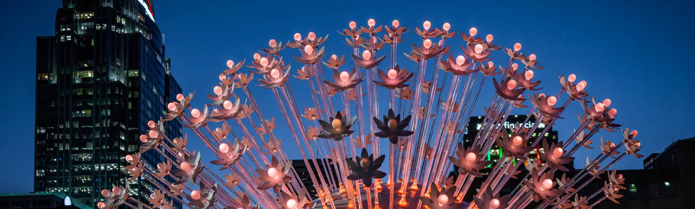 Allium by Everything Good Studio at Lytle Park in downtown Cincinnati, a part of BLINK illuminated by ArtsWave.
