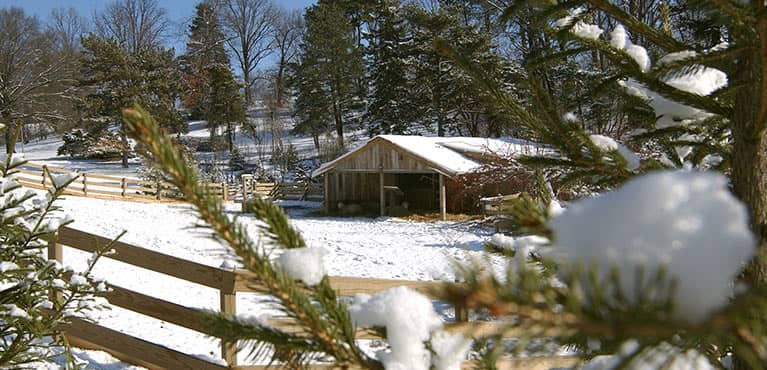 Crib snow