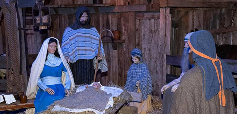 Crib2024767x370