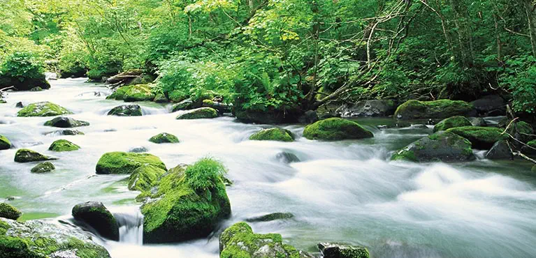 Income Source Select river rocks and trees