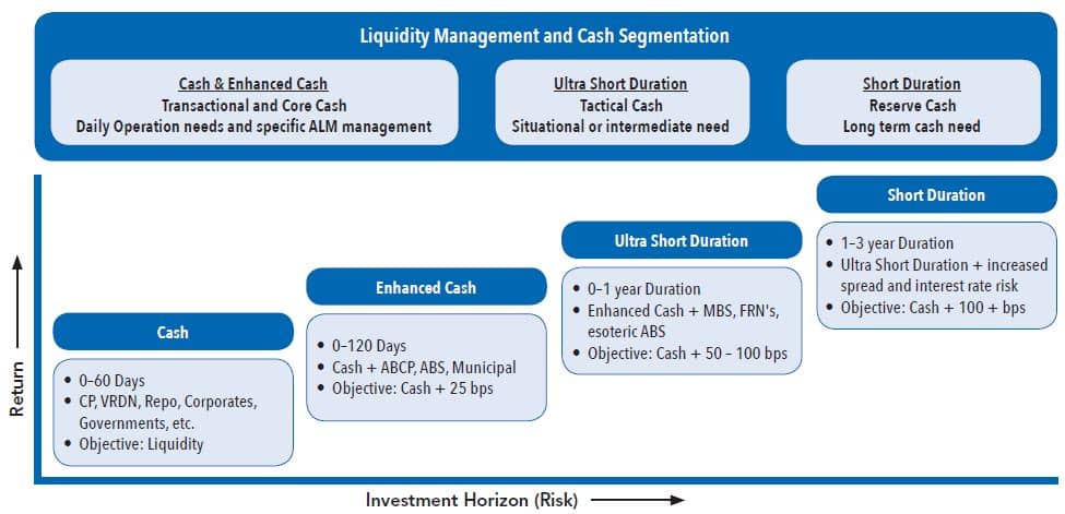 Liquidity Management and Cash Segmentation table