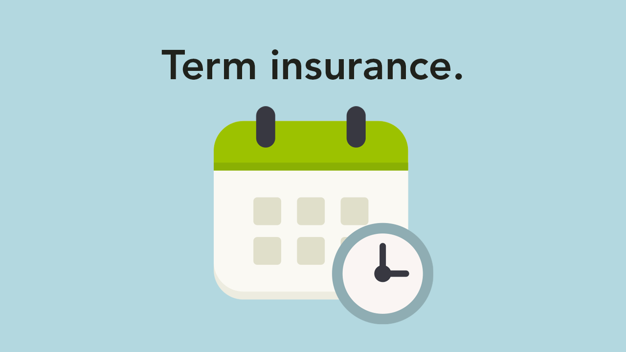 What is Term Life video